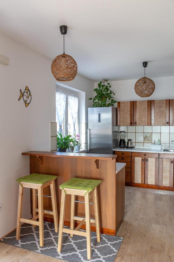 Апартаменты Apartma Jancic Доброво Экстерьер фото
