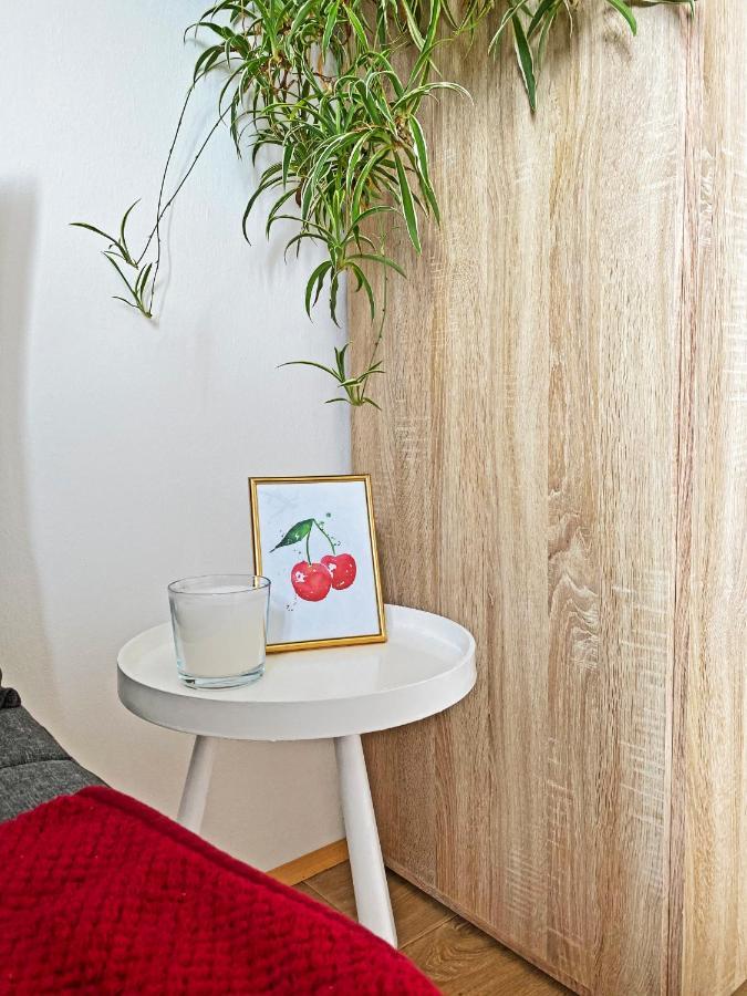 Апартаменты Apartma Jancic Доброво Экстерьер фото